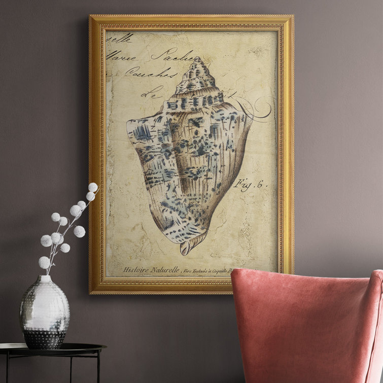 Trinx Seashell Ephemera VI Framed On Canvas Graphic Art | Wayfair